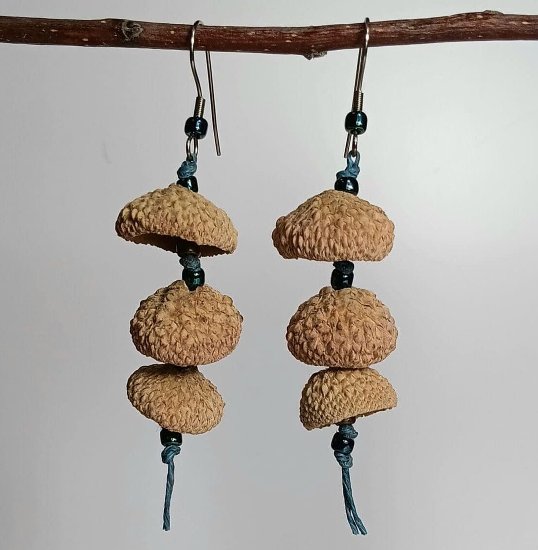 Natural earrings made of acorn caps.